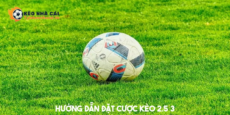 Hướng dẫn các bước đặt cược kèo 2.75 